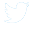 <span>Twitter